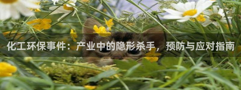 亿万网络：化工环保事件：产业中的隐形杀手，预防与应对指南