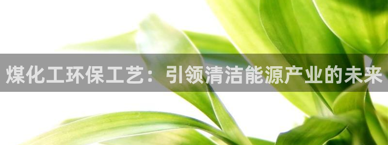 亿万手游平台官网入口：煤化工环保工艺：引领清洁能源产业的未来