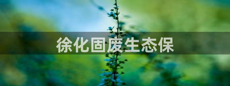 mr001亿万先生：徐化固废生态保