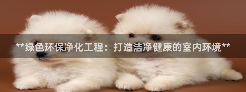 亿万先生合并网址：**绿色环保净化工程：打造洁净健康的室内环境**