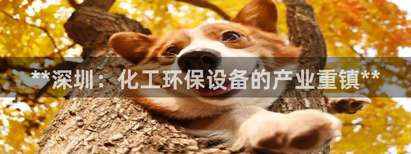 亿万先生官方网站下载安装：**深圳：化工环保设备的产业重镇**