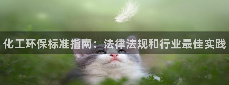 亿万第一季解说：化工环保标准指南：法律法规和行业最佳实践