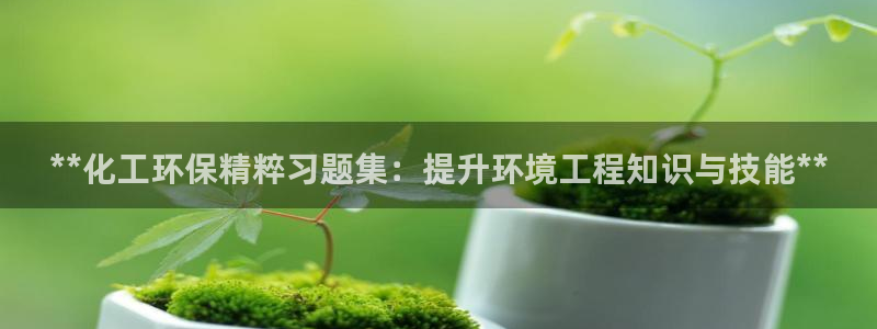亿万先生007官网：**化工环保精粹习题集：提升环境工程知识与技能**