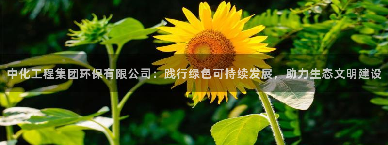 亿万先生mr008：中化工程集团环保有限公司：践行绿色可持续发展，助力生态文明建设