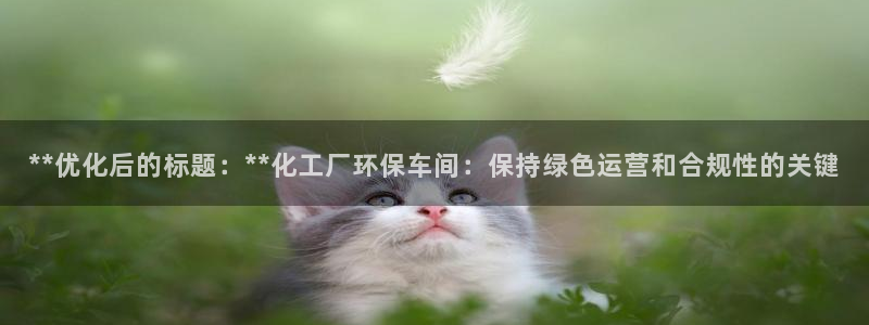 亿万国际平台是正规的吗安全吗：**优化后的标题：**化工厂环保车间：保持绿色运营和合规性的关键