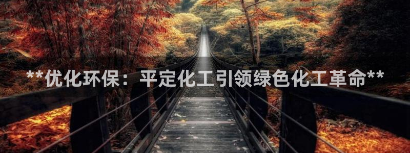 亿万先生app：**优化环保：平定化工引领绿色化工革命**
