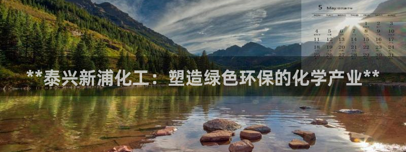 mr003亿万先生：**泰兴新浦化工：塑造绿色环保的化学产业**
