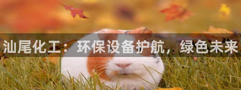 亿万先生mr07：汕尾化工：环保设备护航，绿色未来