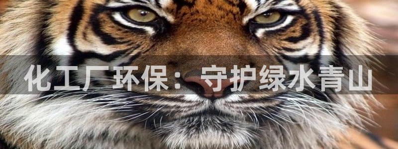 官方网站下载亿万人生：化工厂环保：守护绿水青山