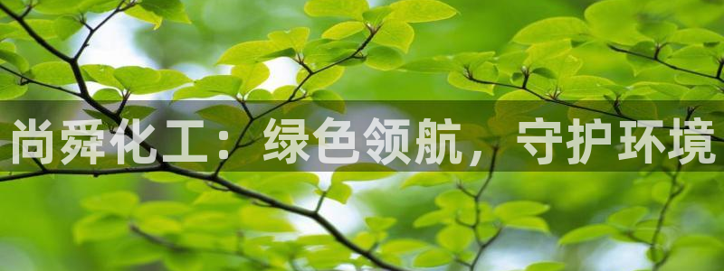 亿万先生网页版下载：尚舜化工：绿色领航，守护环境