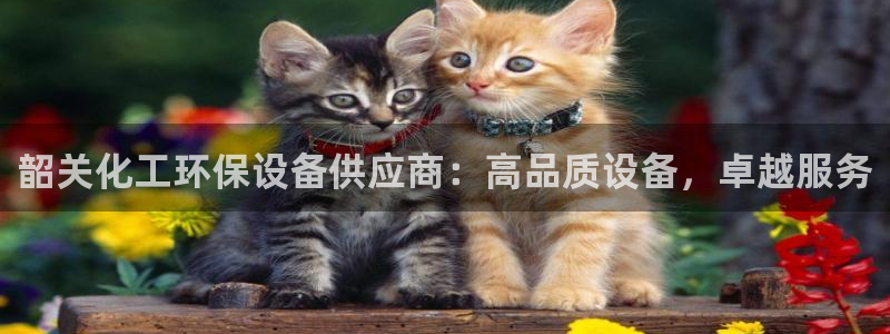 亿万先生MR - 亿万先生mr008cc：韶关化工环保设备供应商：高品质设备，卓越服务