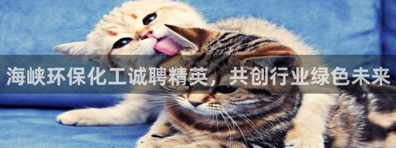 亿万先生网页在线客服：海峡环保化工诚聘精英，共创行业绿色未来