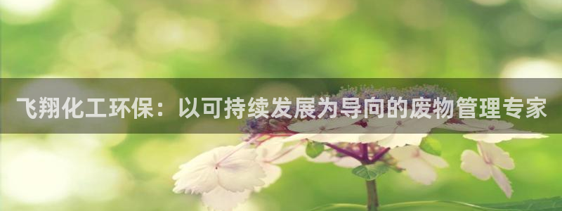 亿万先生 手机版下载：飞翔化工环保：以可持续发展为导向的废物管理专家