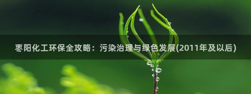 亿万下载：枣阳化工环保全攻略：污染治理与绿色发展(2011年及以后)