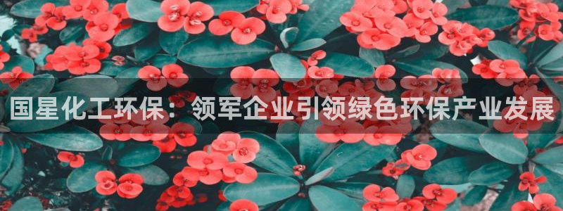 亿万先生客户端官网登录不了：国星化工环保：领军企业引领绿色环保产业发展