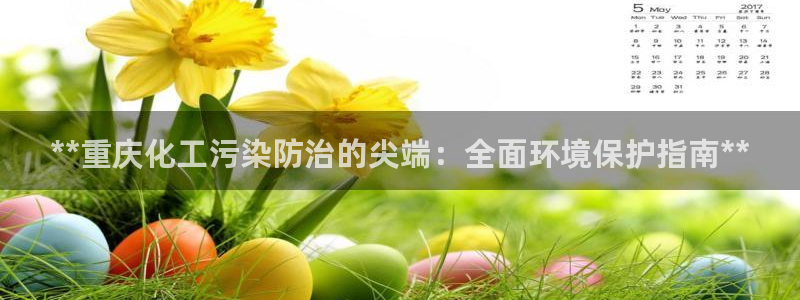 亿万先生客服联系方式查询：**重庆化工污染防治的尖端：全面环境保护指南**