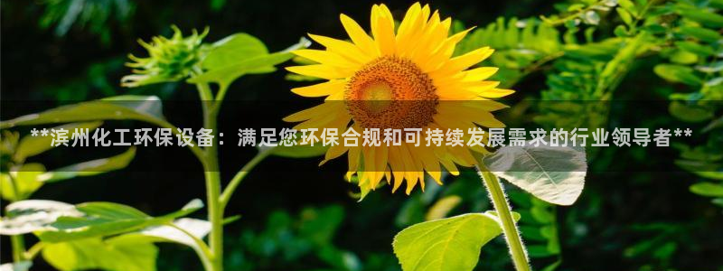 亿万解析：**滨州化工环保设备：满足您环保合规和可持续发展需求的行业领导者**