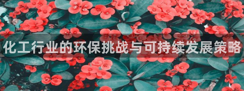 电影 亿万：化工行业的环保挑战与可持续发展策略