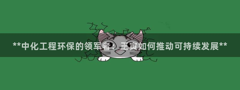 亿万集团：**中化工程环保的领军者：王寅如何推动可持续发展**