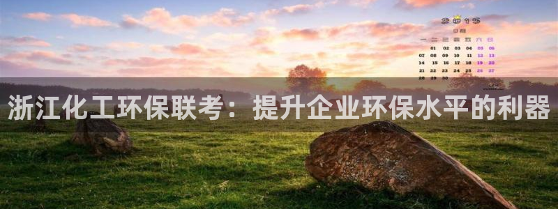 亿万先生现在的网址谁知道：浙江化工环保联考：提升企业环保水平的利器