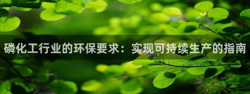 亿万网络：磷化工行业的环保要求：实现可持续生产的指南