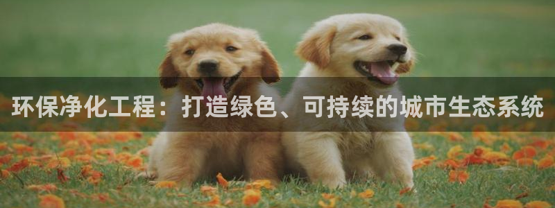 亿万先生客户端官网登录入口：环保净化工程：打造绿色、可持续的城市生态系统