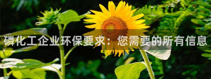 亿万先生充电桩：磷化工企业环保要求：您需要的所有信息