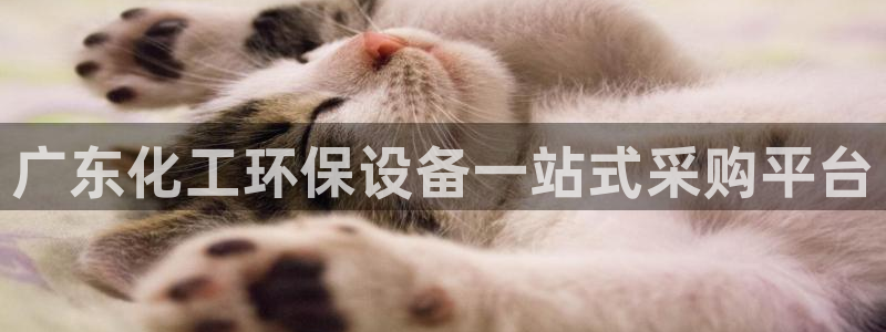 亿万讲什么：广东化工环保设备一站式采购平台