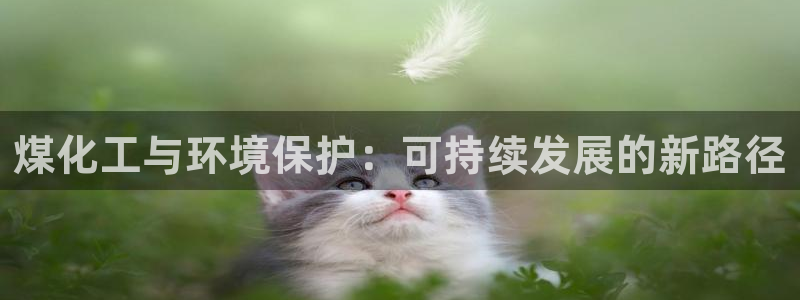 亿万国际游戏官网：煤化工与环境保护：可持续发展的新路径