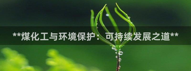 亿万官网字幕：**煤化工与环境保护：可持续发展之道**