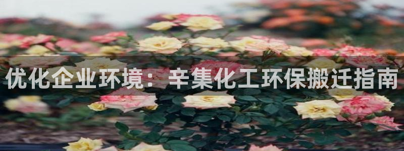 亿万先生客服联系电话：优化企业环境：辛集化工环保搬迁指南