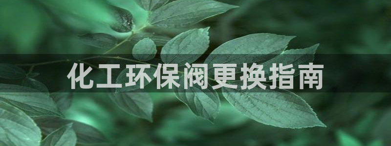 亿万先生007网页登录：化工环保阀更换指南