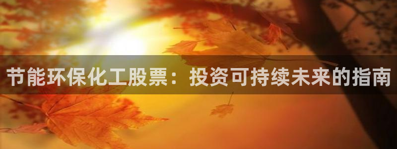 mr003亿万先生：节能环保化工股票：投资可持续未来的指南