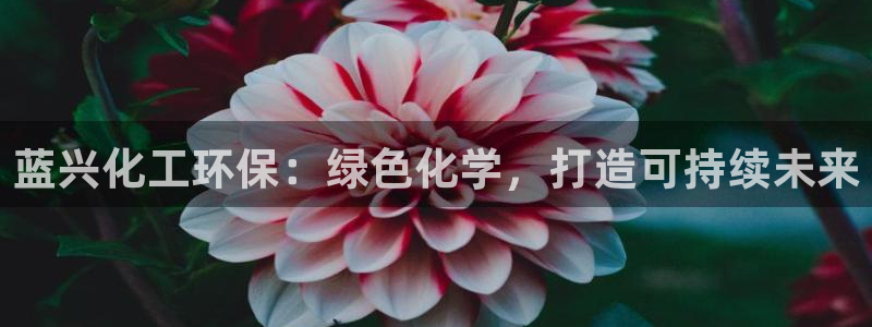 亿万先生官方客服：蓝兴化工环保：绿色化学，打造可持续未来