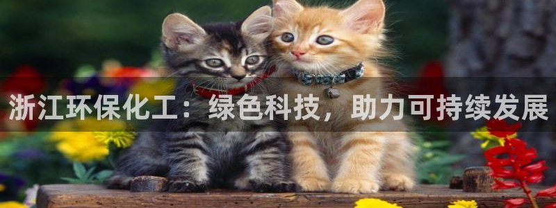 亿万先生mr01官网 - 亿万先生手机版入：浙江环保化工：绿色科技，助力可持续发展