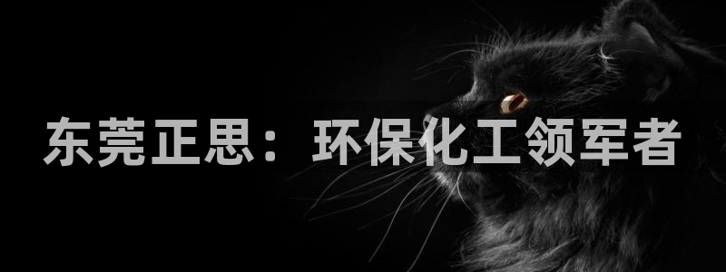 亿万先生mr008：东莞正思：环保化工领军者