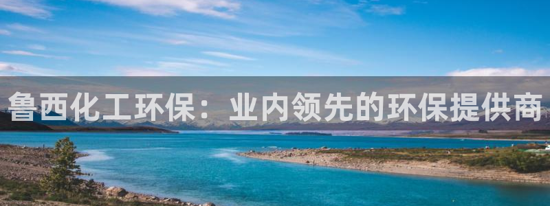亿万 在线：鲁西化工环保：业内领先的环保提供商