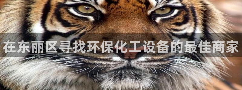 亿万网友在线实时为您解答问题：在东丽区寻找环保化工设备的最佳商家