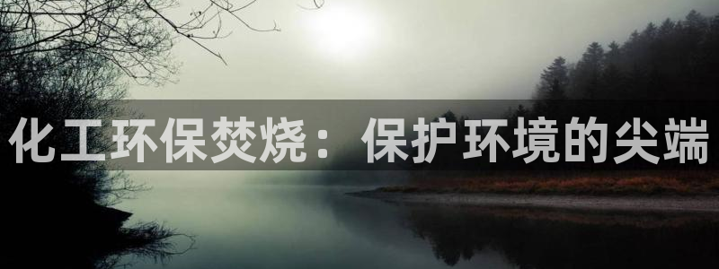 亿万先生手机版入口在哪：化工环保焚烧：保护环境的尖端