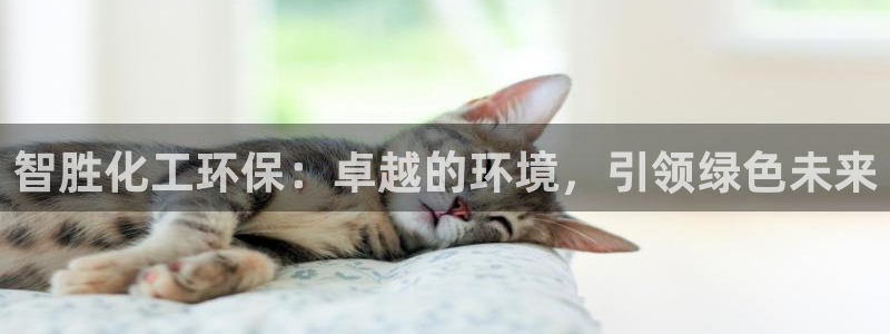 亿万百度百科官网：智胜化工环保：卓越的环境，引领绿色未来