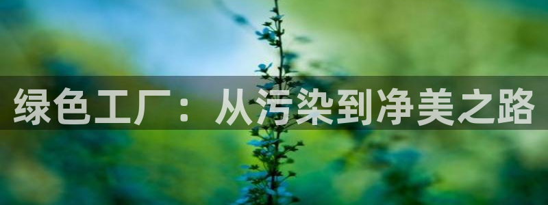 亿万手游平台官网入口：绿色工厂：从污染到净美之路