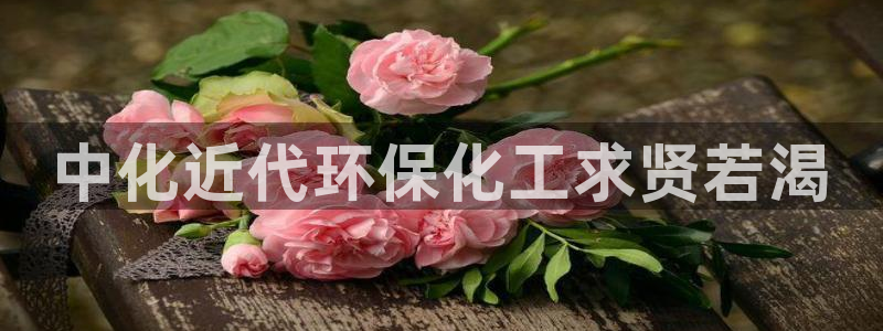 电影 亿万：中化近代环保化工求贤若渴