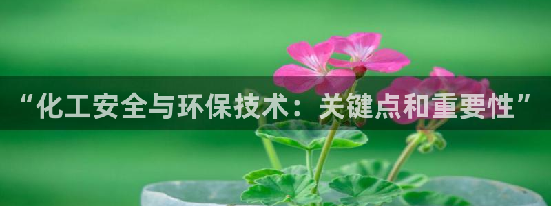 亿万先生网页版下载：“化工安全与环保技术：关键点和重要性”