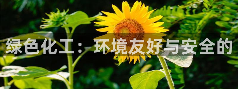 亿万先生官方网站下载手机版：绿色化工：环境友好与安全的