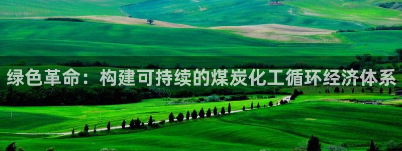 亿万先生客户端官网登录不了：绿色革命：构建可持续的煤炭化工循环经济体系