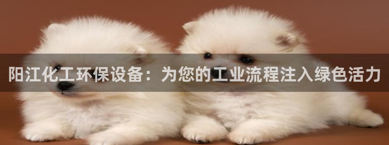 亿万乐购生活超市：阳江化工环保设备：为您的工业流程注入绿色活力