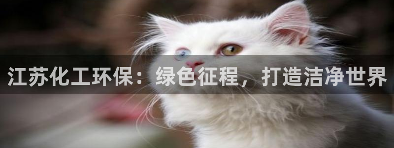 亿万billions：江苏化工环保：绿色征程，打造洁净世界