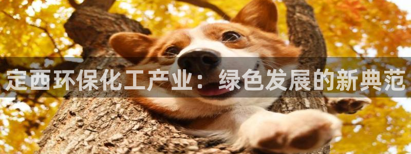 亿万财富网：定西环保化工产业：绿色发展的新典范
