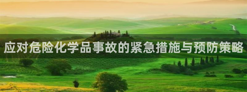 亿万billions：应对危险化学品事故的紧急措施与预防策略