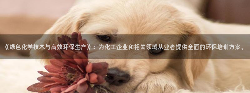 亿万先生mr07：《绿色化学技术与高效环保生产》：为化工企业和相关领域从业者提供全面的环保培训方案。